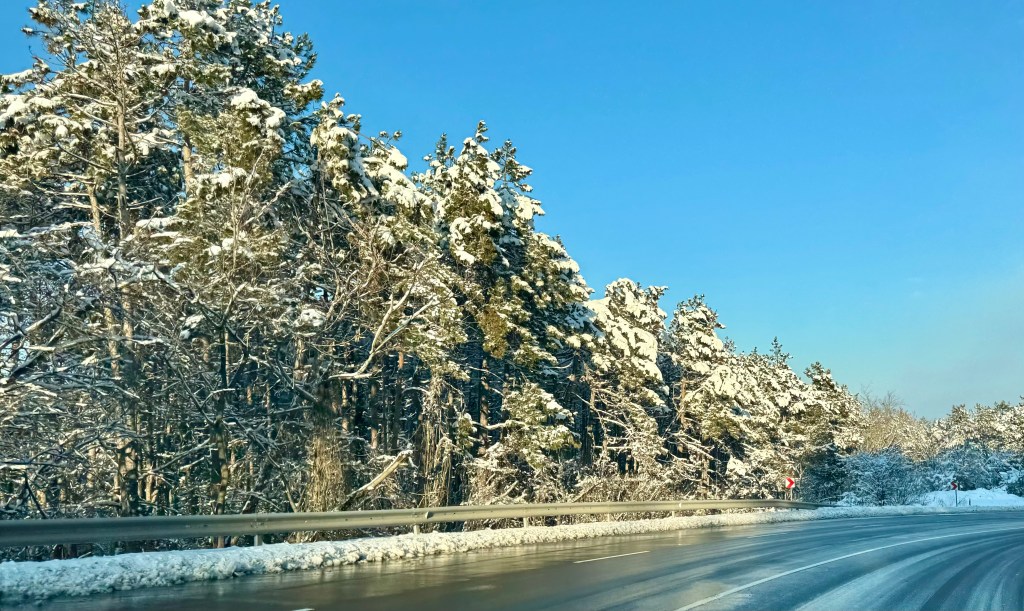 Immer noch keine Wahlunterlagen&nbsp;🤬