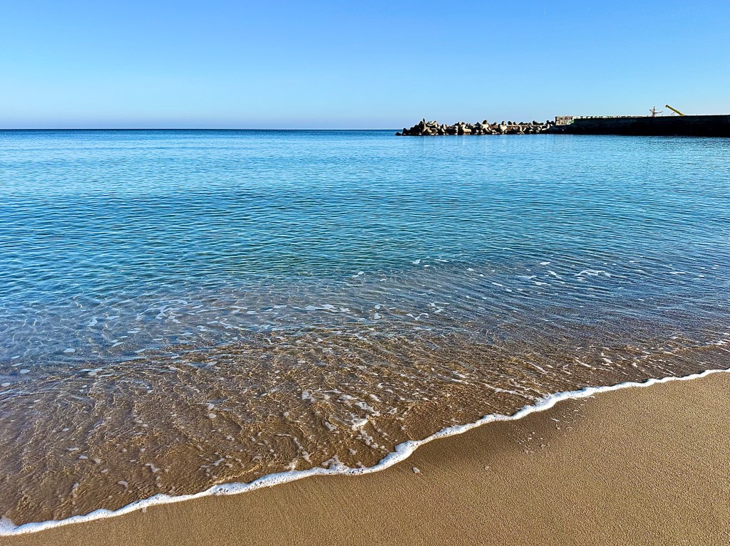 Beiträge 3.-15.1.21
