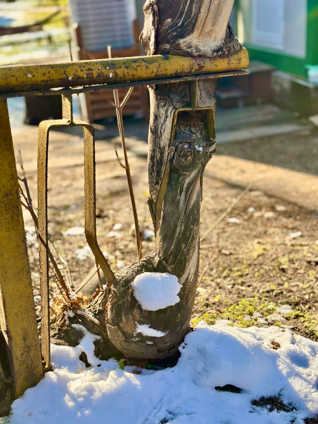 Unser Auto hat seinen Wert&nbsp;verdoppelt