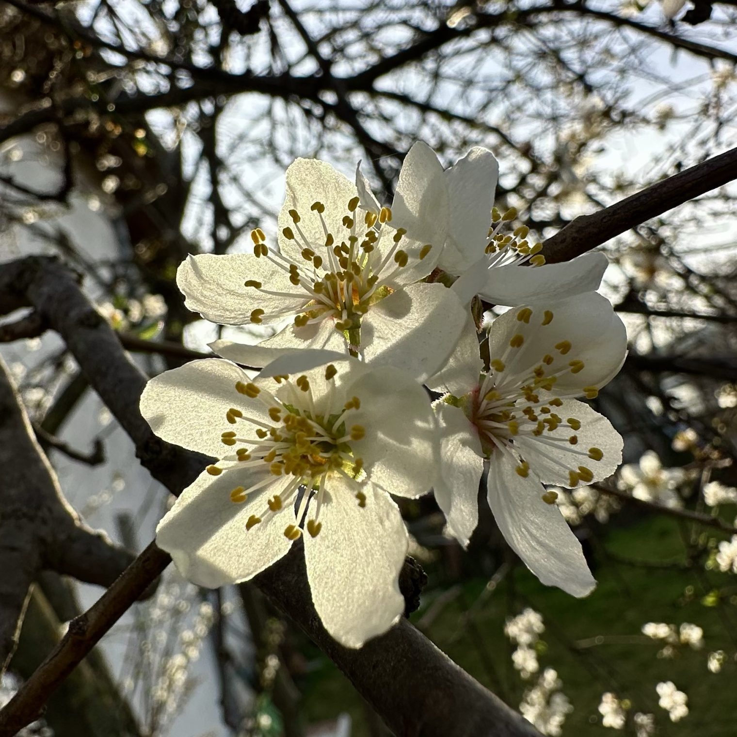 Hochzeitstag und keine Bilder