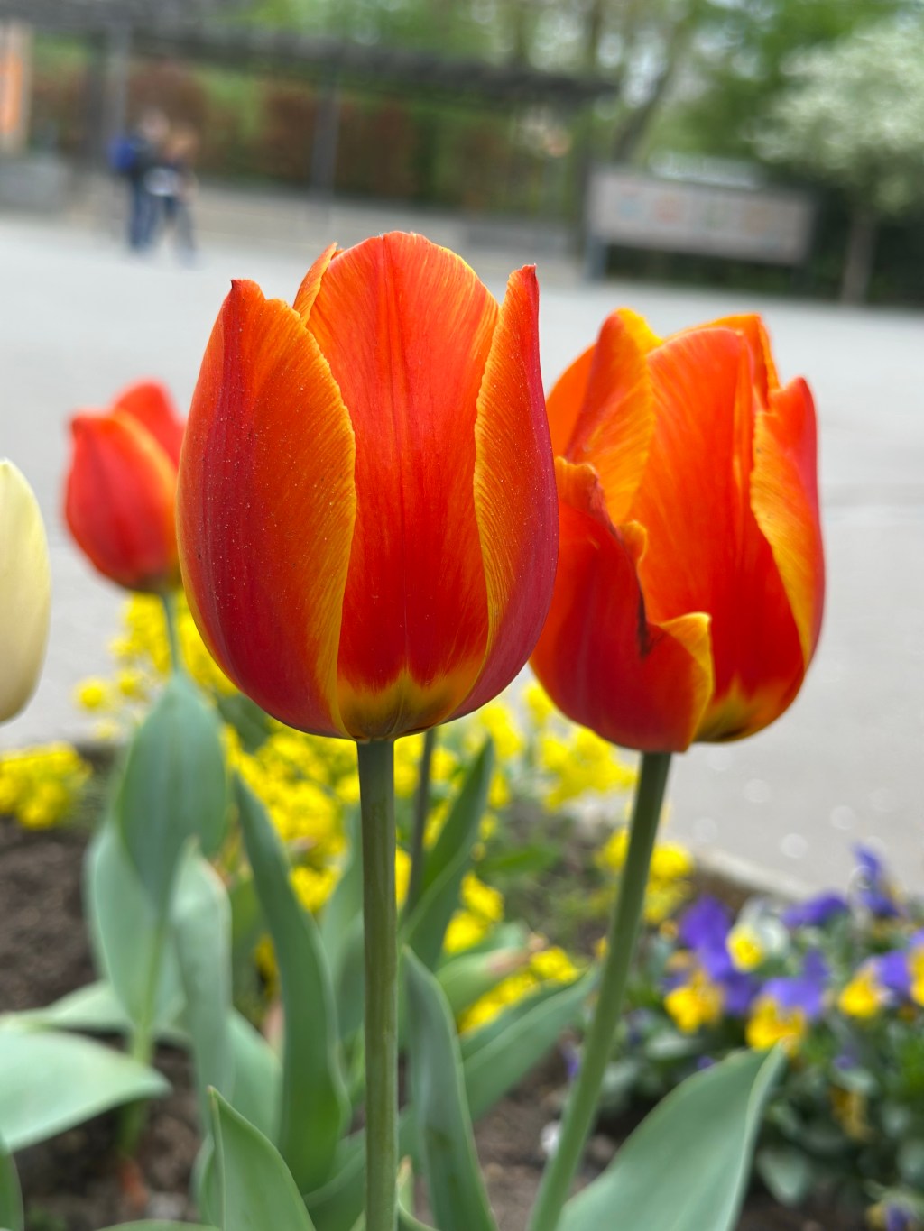 Gesegnete Ostern (schon von der Rückreise&nbsp;geschickt)