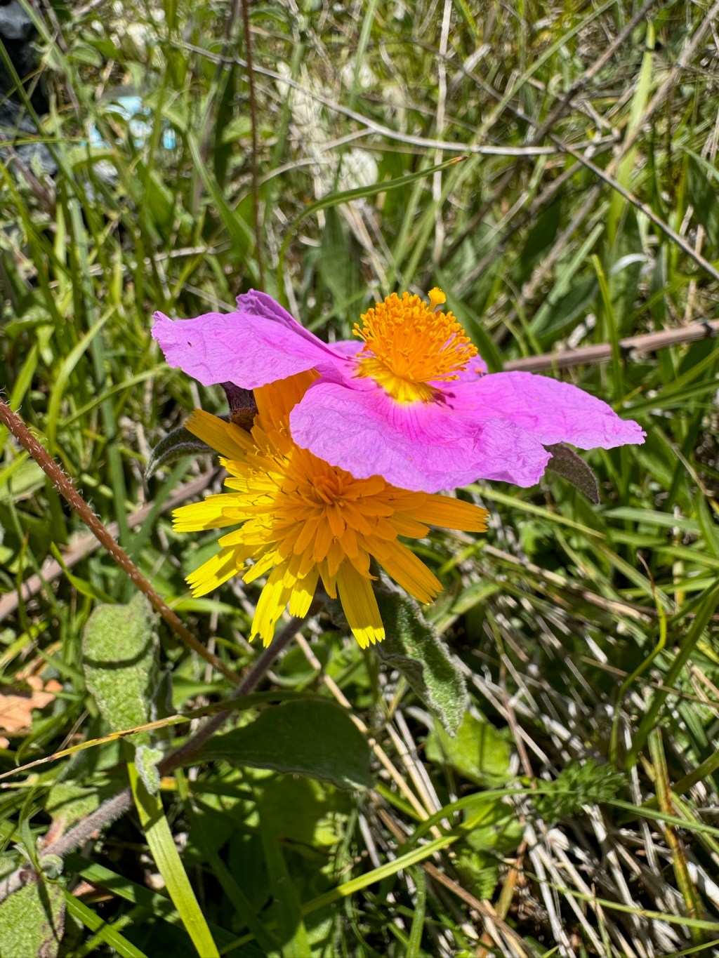 Nur ein paar&nbsp;Fotos