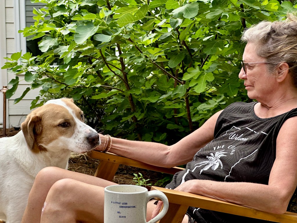 Wir waren heute schon&nbsp;laufen