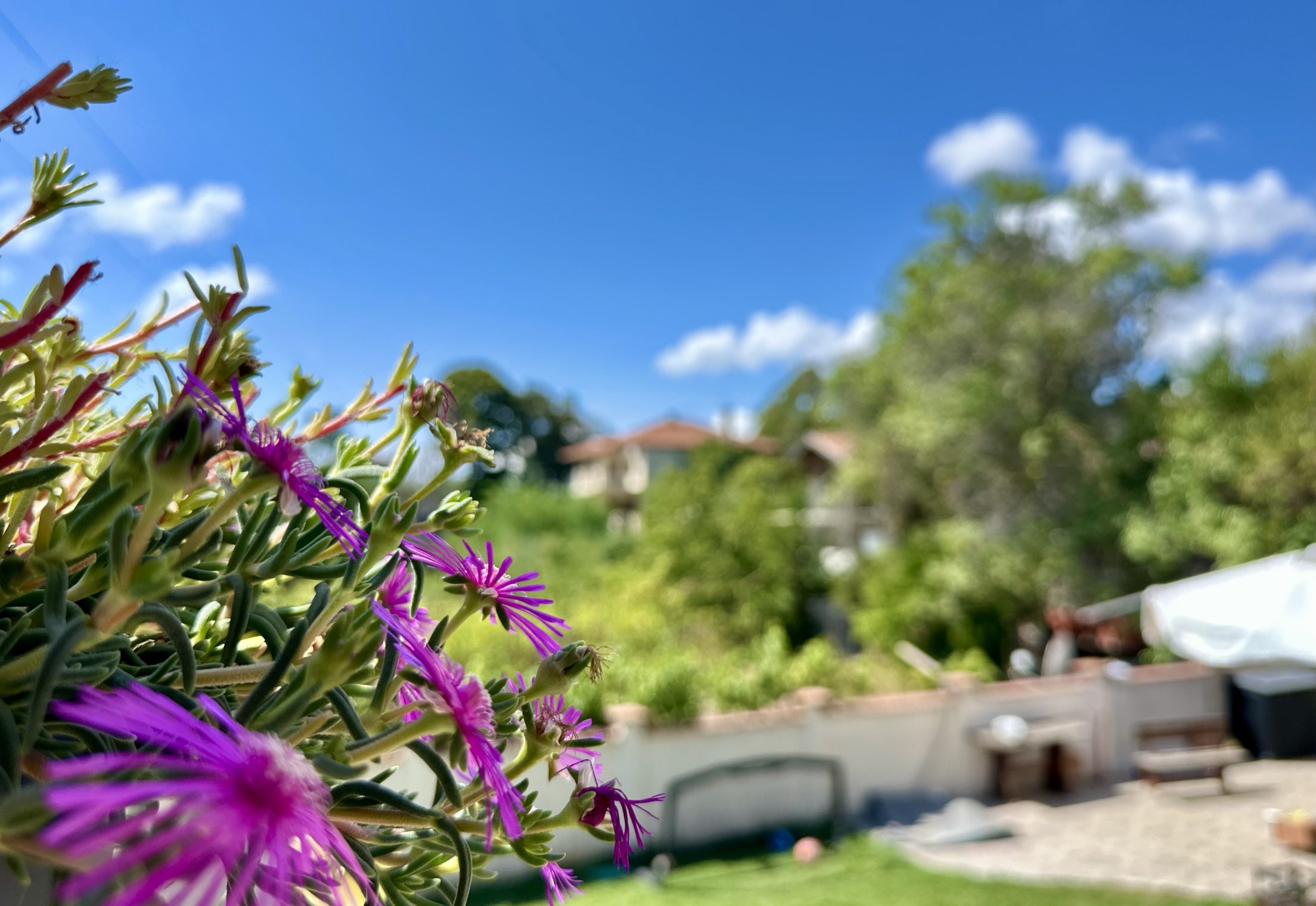 Sommerregen – trotzdem kein verlorener Tag