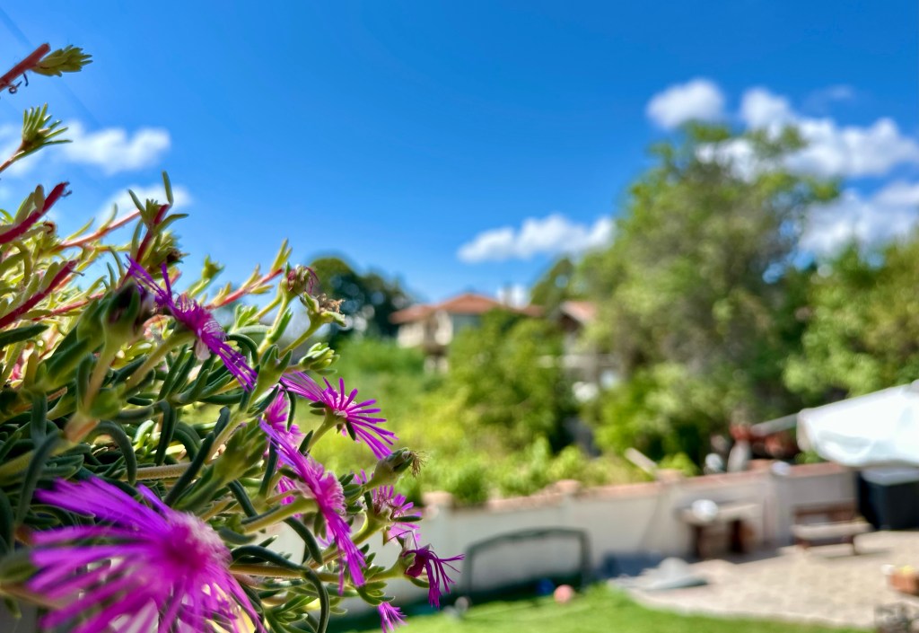 Sommerregen – trotzdem kein verlorener&nbsp;Tag