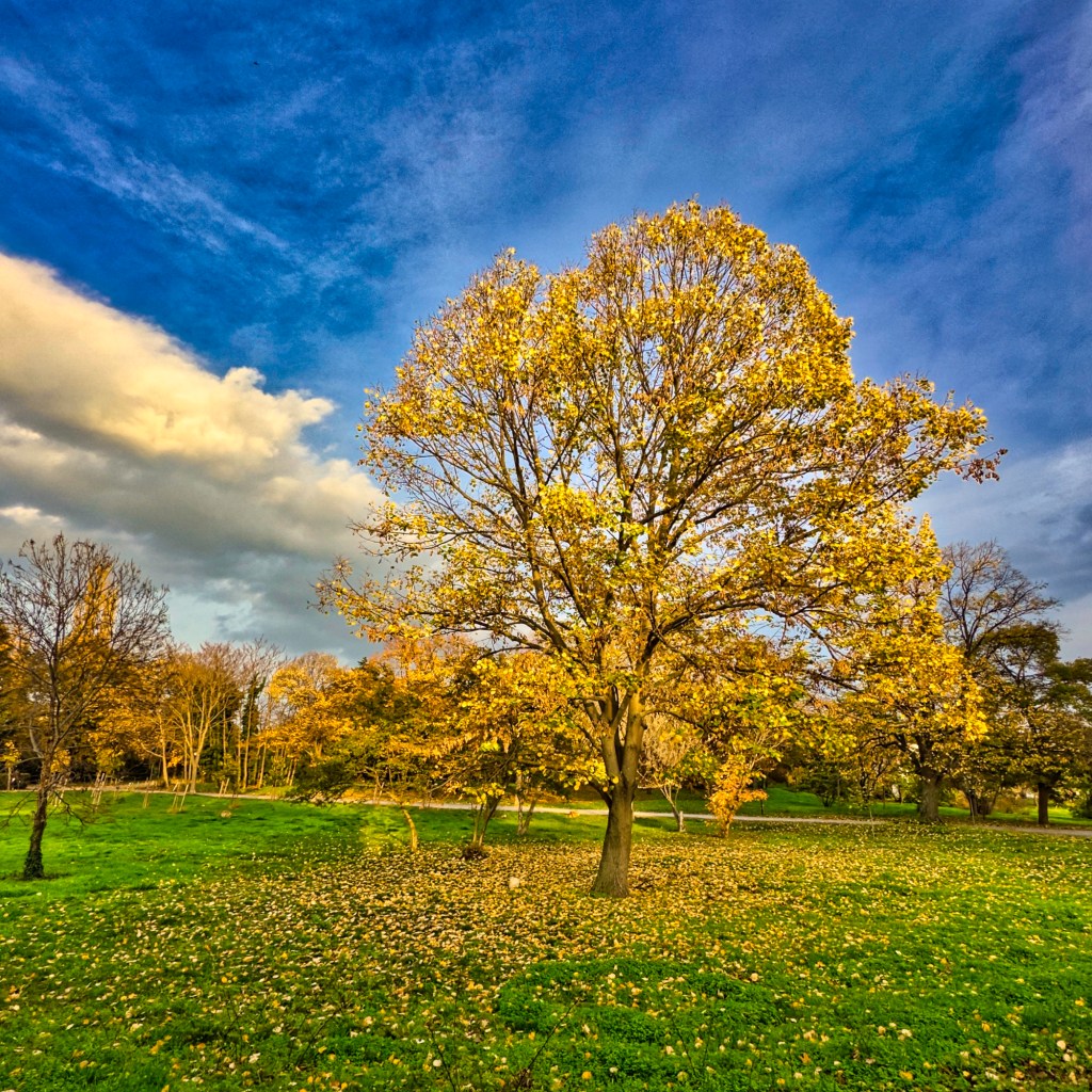 Wir hatten den ersten&nbsp;Schnee..