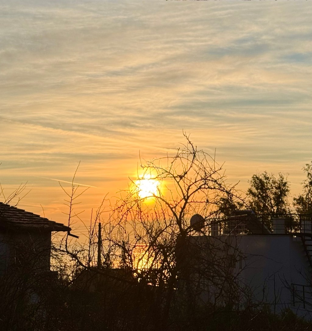 Kekse, Kugeln und viel&nbsp;Negative(s)