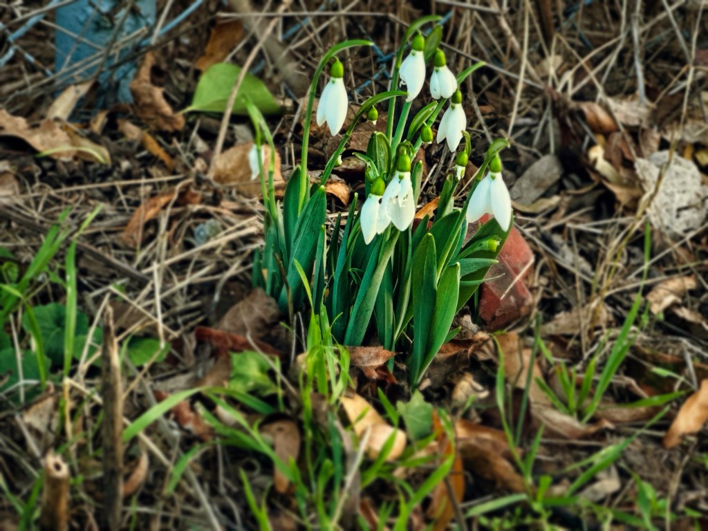 So viele Ideen für schöne&nbsp;Überschriften…