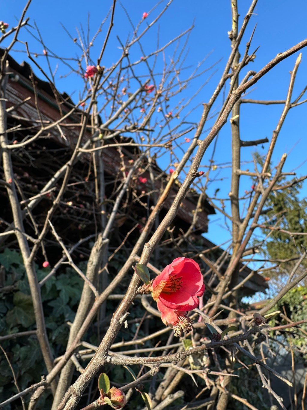 Jubiläum! Fünf Jahre&nbsp;Bulgarien!