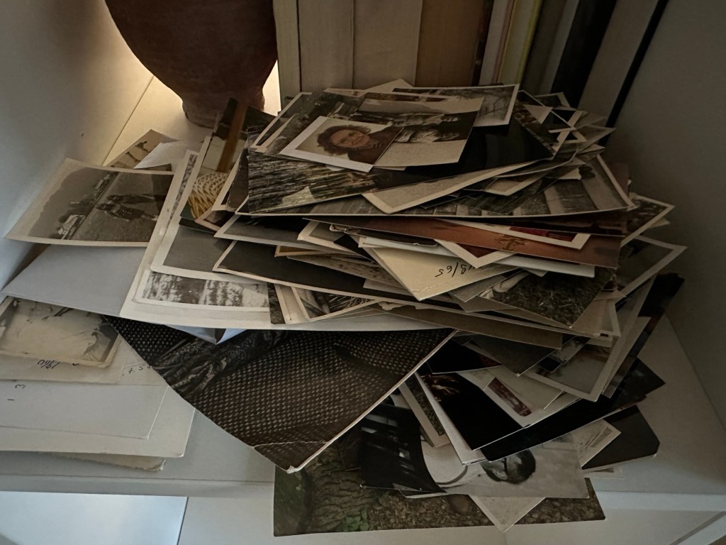 Fotos, Fotos, Fotos – und&nbsp;Perlen