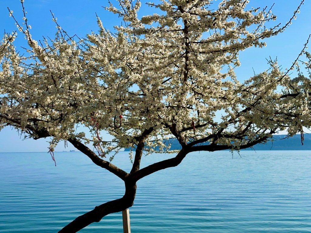 40 Jahre verheiratet – Reise in die Türkei (Teil 5 – Bodrum über Aphrodisias nach Pamukkale/Hieropolis, zuletzt&nbsp;Iznik)