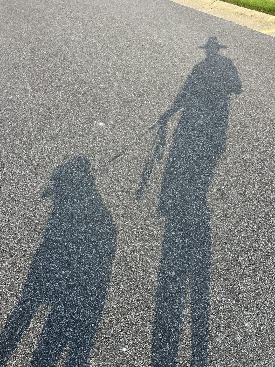Leben mit Hund ist gefährlich!