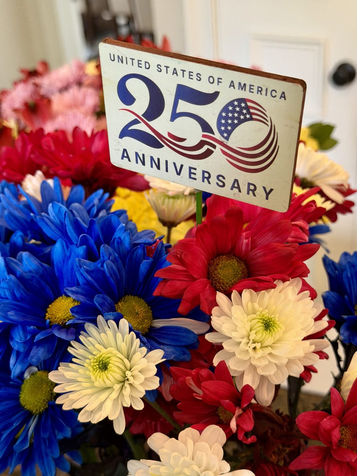 250 Jahre USA und letzter Tag New York (2. Versuch)